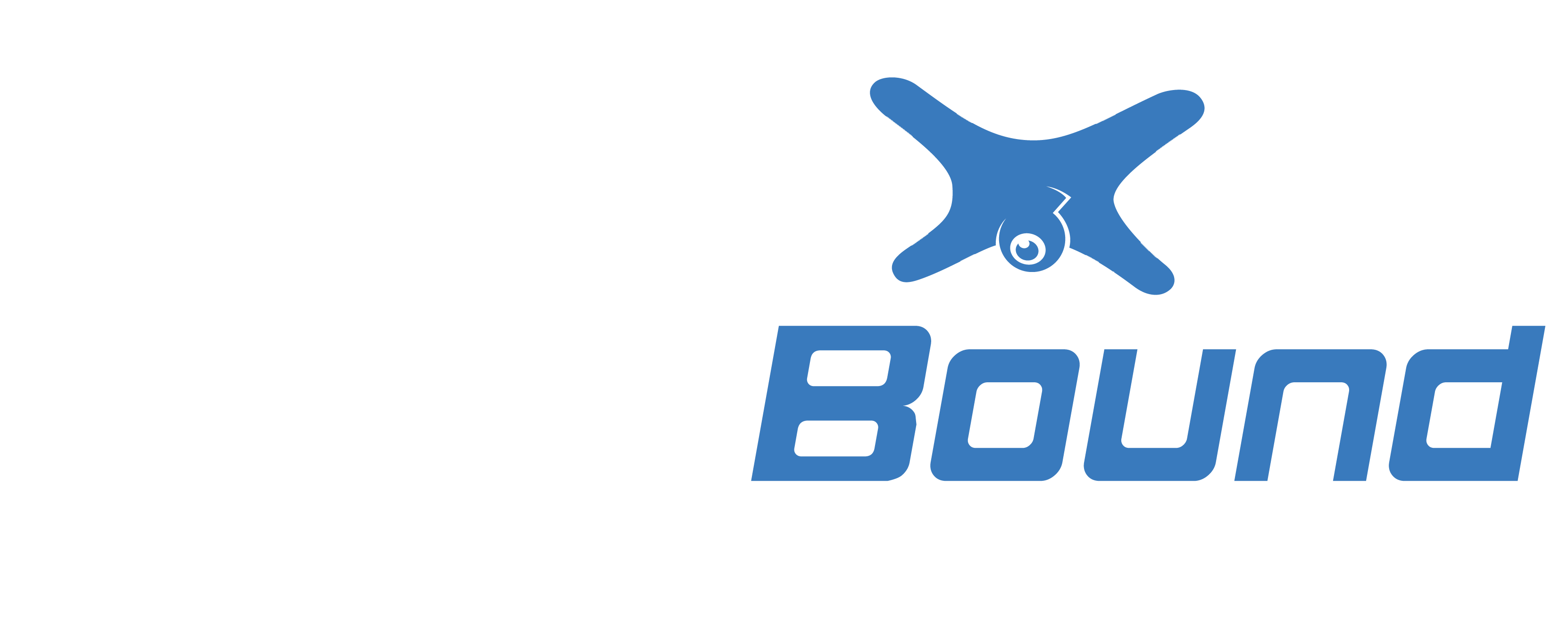 SkyBound Drones